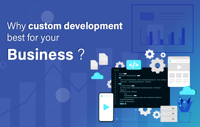 Why custom development best for your Business